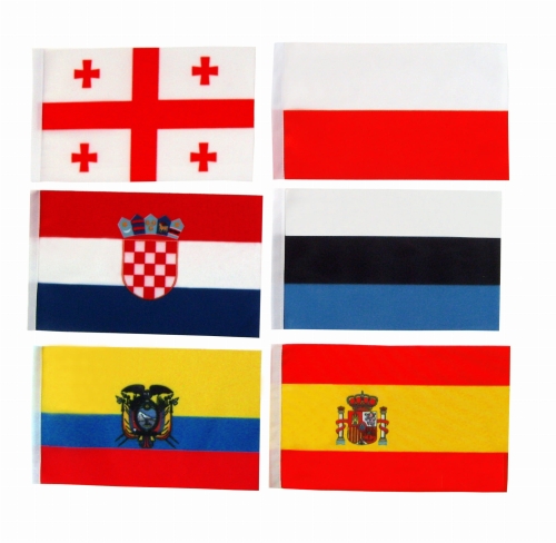 mini flagietki kopia.jpg