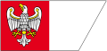 wielkopolskie.png