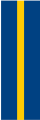 śląskie pion.png