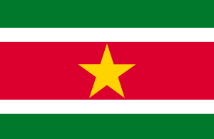 Flaga Surinam różne wymiary   