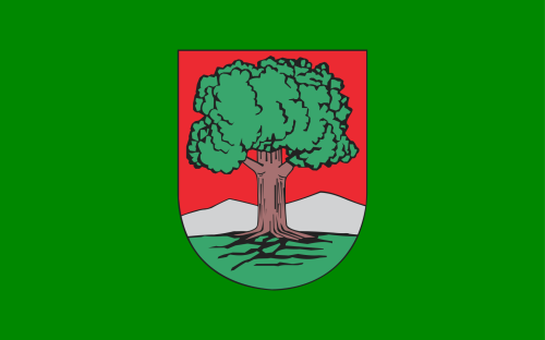 POL_Wałbrzych_flag.svg.png
