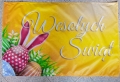 img20230321140133.jpg