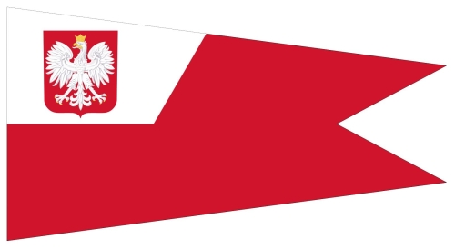 Proporzec Szefa Sztabu MW.JPG