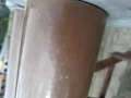 1000060313.jpg