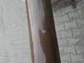 1000060320.jpg